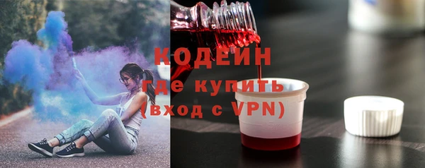 индика Семилуки