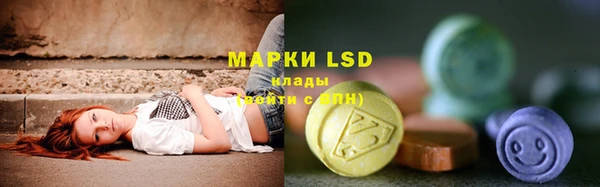 индика Семилуки