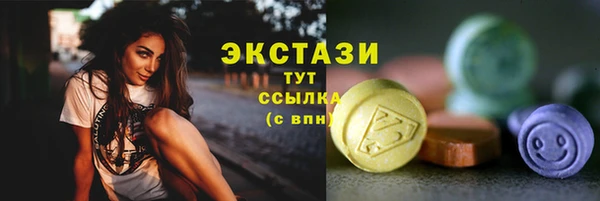индика Семилуки