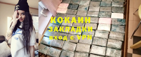 индика Семилуки