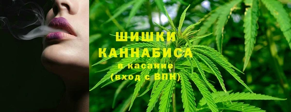 индика Семилуки