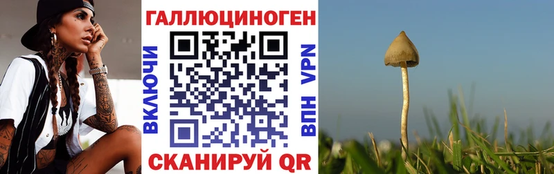 Галлюциногенные грибы Magic Shrooms  где найти   Старый Крым 